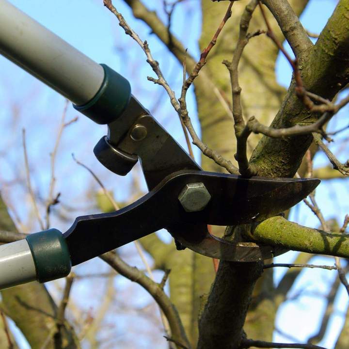 L’entreprise JAMET ESPACES VERTS s’occupe de vos travaux de petit élagage en Creuse.